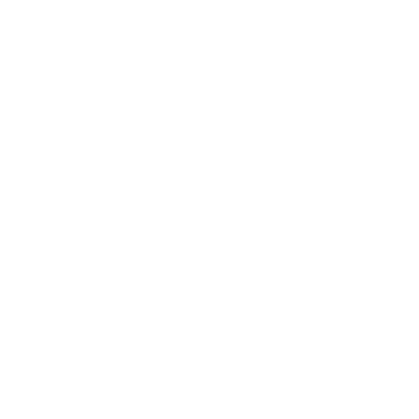 Logo CG en blanc